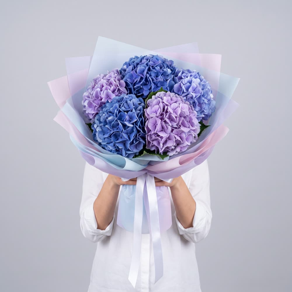 Blue Hydrangea