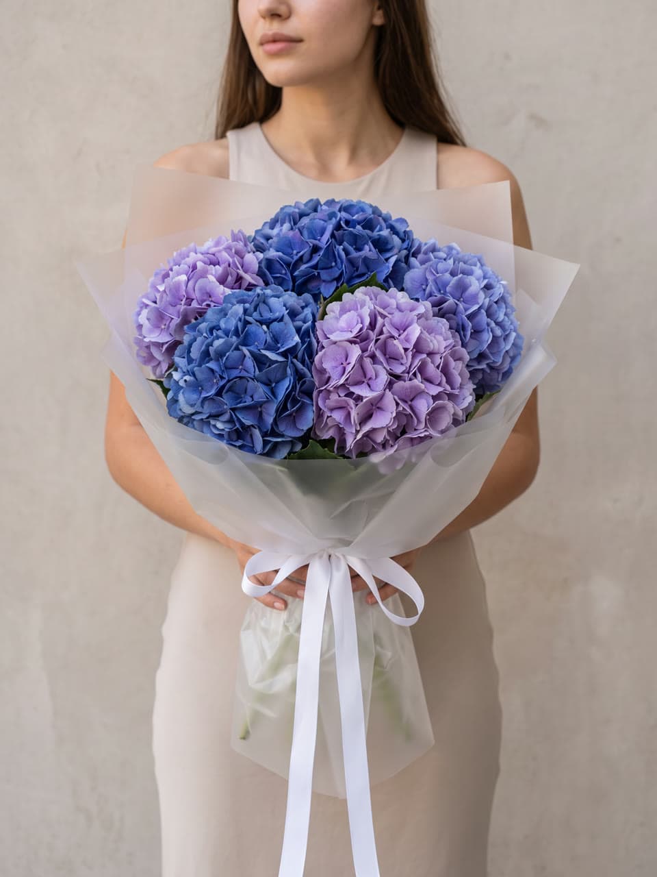 Blue Hydrangea
