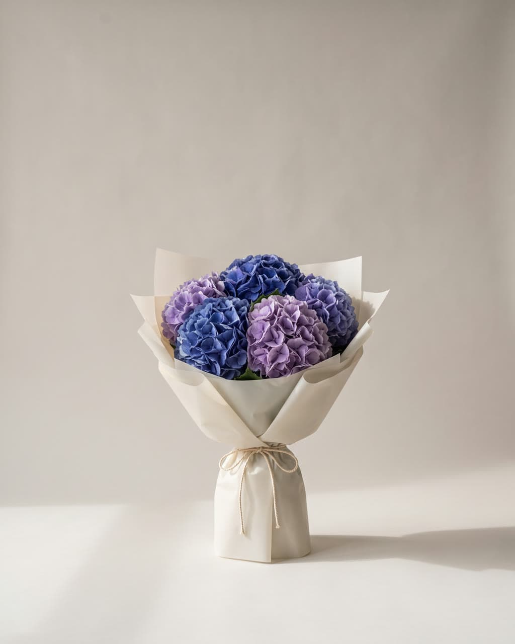 Blue Hydrangea